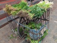 PXL_20260308_045037429.MP_