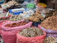 PXL_20260308_081855398