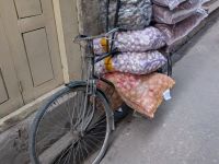 PXL_20260309_035258179.MP_